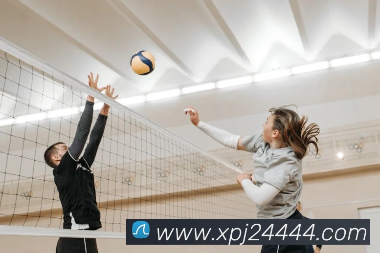 澳门新葡京网站入口发展历程